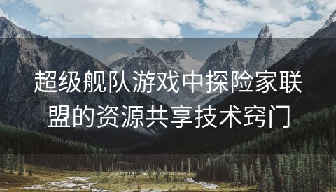 超级舰队游戏中探险家联盟的资源共享技术窍门