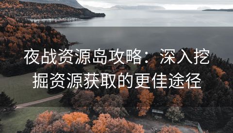 夜战资源岛攻略：深入挖掘资源获取的更佳途径