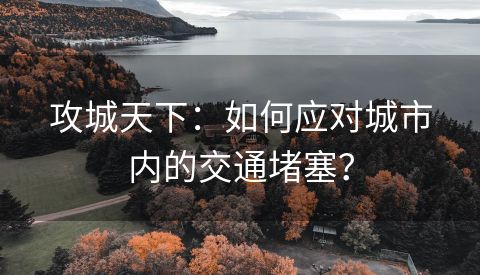 攻城天下：如何应对城市内的交通堵塞？