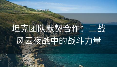 坦克团队默契合作：二战风云夜战中的战斗力量
