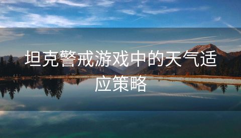 坦克警戒游戏中的天气适应策略