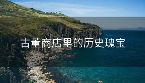 古董商店里的历史瑰宝