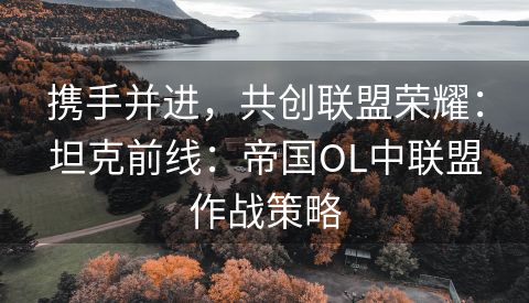 携手并进，共创联盟荣耀：坦克前线：帝国OL中联盟作战策略