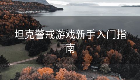 坦克警戒游戏新手入门指南