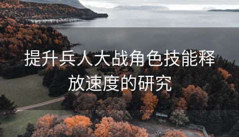 提升兵人大战角色技能释放速度的研究