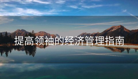 提高领袖的经济管理指南