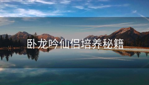 卧龙吟仙侣培养秘籍