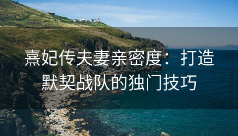 熹妃传夫妻亲密度：打造默契战队的独门技巧