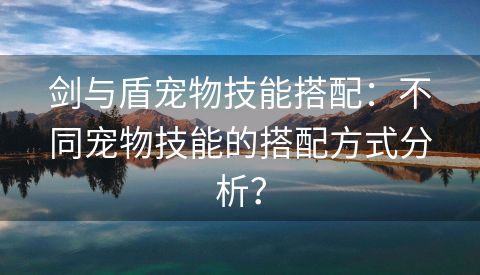 剑与盾宠物技能搭配：不同宠物技能的搭配方式分析？