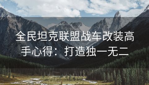 全民坦克联盟战车改装高手心得：打造独一无二