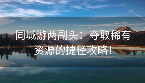 同城游两副头：夺取稀有资源的捷径攻略！