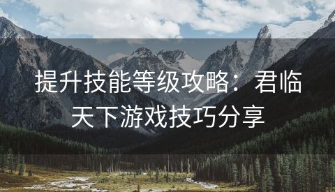 提升技能等级攻略：君临天下游戏技巧分享