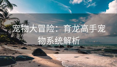 宠物大冒险：育龙高手宠物系统解析