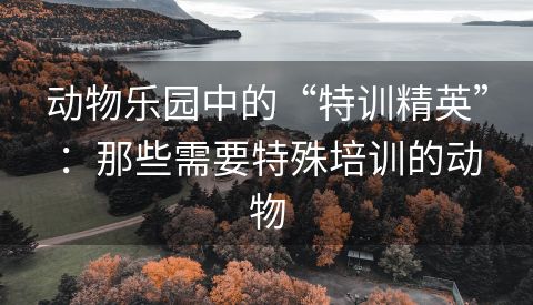 动物乐园中的“特训精英”：那些需要特殊培训的动物