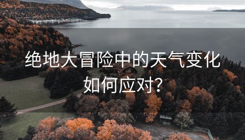 绝地大冒险中的天气变化如何应对？