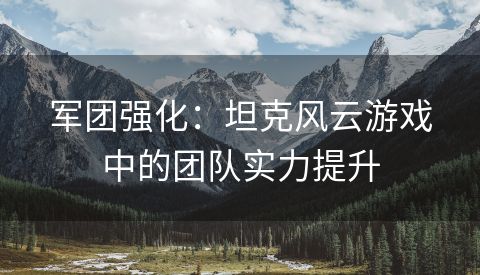 军团强化：坦克风云游戏中的团队实力提升