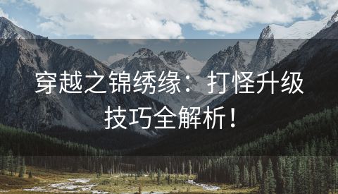 穿越之锦绣缘：打怪升级技巧全解析！