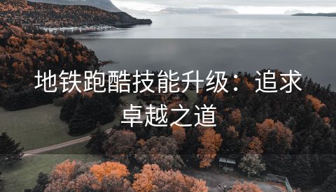地铁跑酷技能升级：追求卓越之道