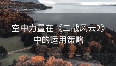 空中力量在《二战风云2》中的运用策略