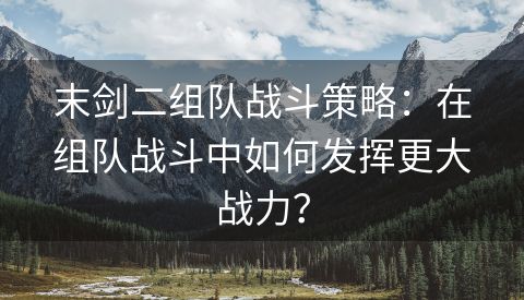 末剑二组队战斗策略：在组队战斗中如何发挥更大战力？