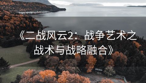 《二战风云2：战争艺术之战术与战略融合》