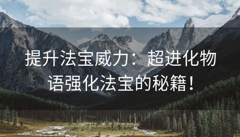 提升法宝威力：超进化物语强化法宝的秘籍！