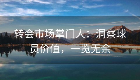 转会市场掌门人：洞察球员价值，一览无余