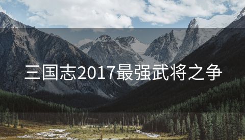 三国志2017最强武将之争