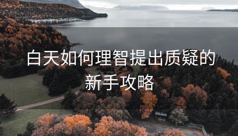 白天如何理智提出质疑的新手攻略