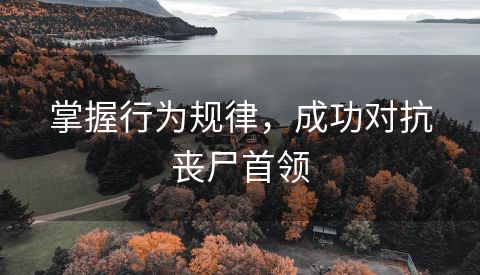 掌握行为规律，成功对抗丧尸首领