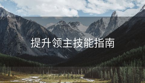 提升领主技能指南