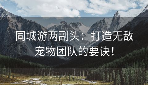 同城游两副头：打造无敌宠物团队的要诀！
