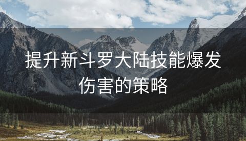提升新斗罗大陆技能爆发伤害的策略