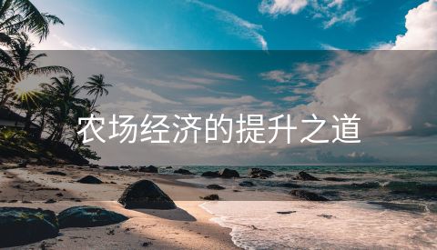 农场经济的提升之道
