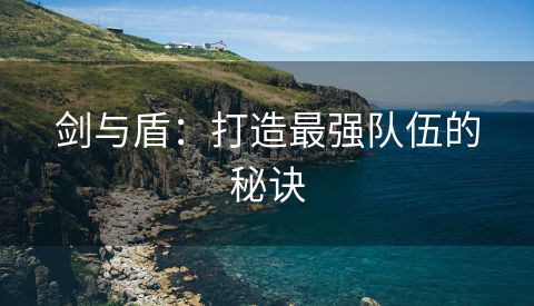 剑与盾：打造最强队伍的秘诀