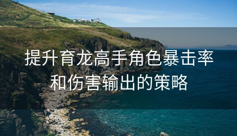 提升育龙高手角色暴击率和伤害输出的策略