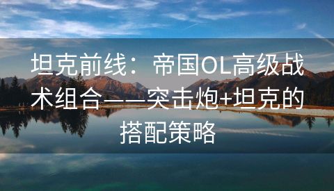 坦克前线：帝国OL高级战术组合——突击炮+坦克的搭配策略