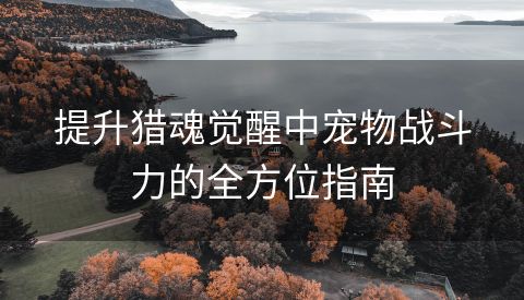提升猎魂觉醒中宠物战斗力的全方位指南