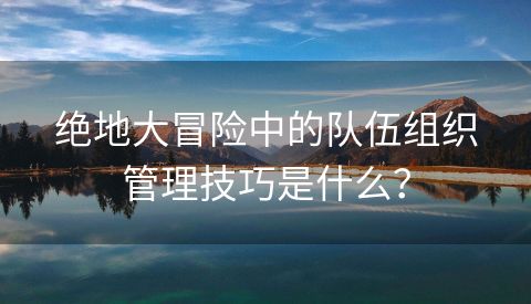 绝地大冒险中的队伍组织管理技巧是什么？