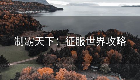 制霸天下：征服世界攻略