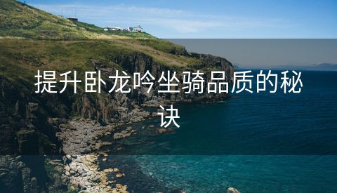 提升卧龙吟坐骑品质的秘诀