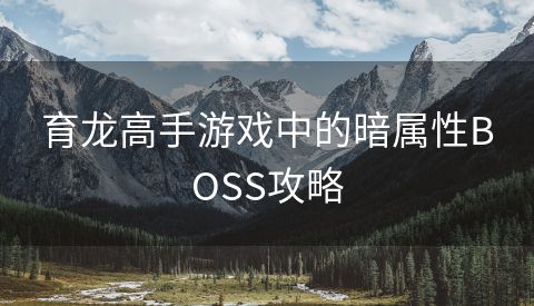 育龙高手游戏中的暗属性BOSS攻略