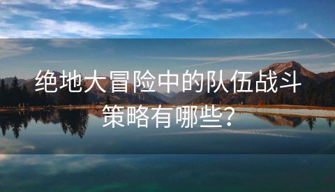 绝地大冒险中的队伍战斗策略有哪些？
