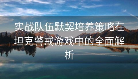 实战队伍默契培养策略在坦克警戒游戏中的全面解析