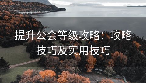 提升公会等级攻略：攻略技巧及实用技巧