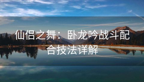 仙侣之舞：卧龙吟战斗配合技法详解