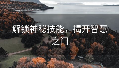 解锁神秘技能，揭开智慧之门
