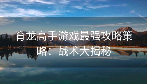 育龙高手游戏最强攻略策略：战术大揭秘