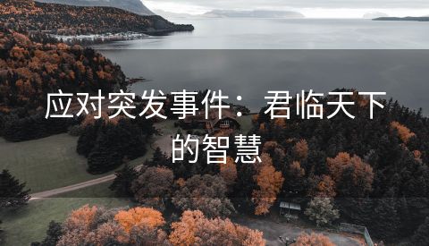应对突发事件：君临天下的智慧