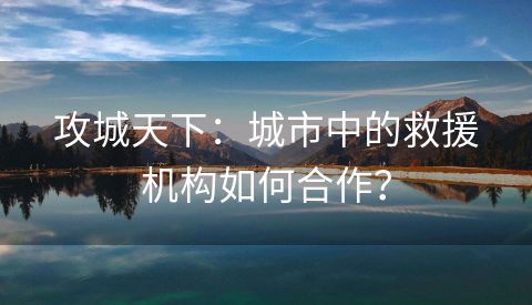 攻城天下：城市中的救援机构如何合作？
